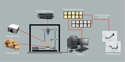 Visible/near-infrared hyperspectral imaging combined with machine learning for identification of ten Dalbergia species